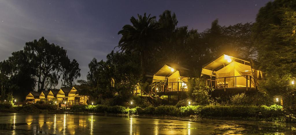 Wildebeest Eco Camp Hotel Nairobi Ngoại thất bức ảnh