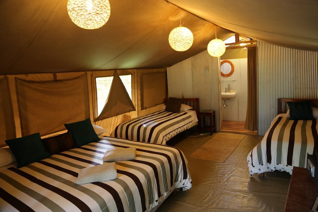 Wildebeest Eco Camp Hotel Nairobi Ngoại thất bức ảnh